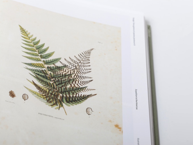 Illustrating Nature — interior drawing