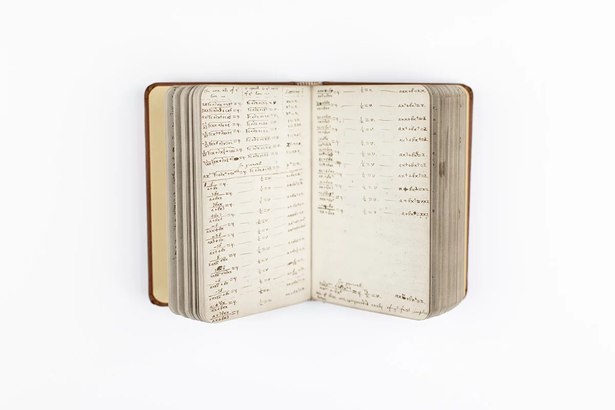 Newton's College Notebook — detail