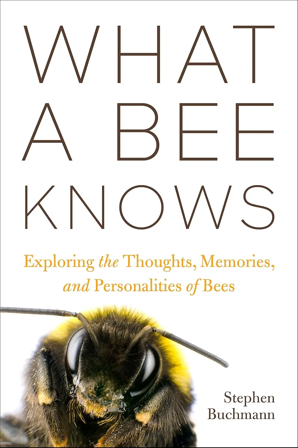 Cover: What a Bee Knows by Stephen Buchmann